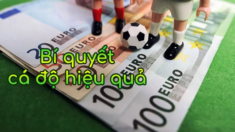 6 Cách Chơi Cá Độ Bóng Đá Không Bao Giờ Thua Cho Dân Chơi 6 cách chơi cá độ bóng đá không bao giờ thua