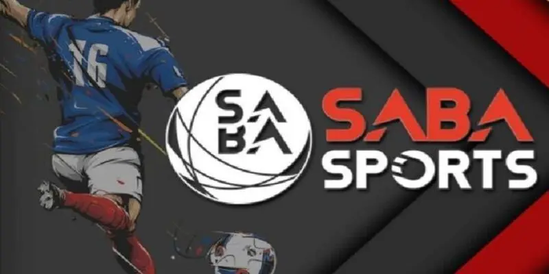 Thông Tin Quan Trọng về Bóng Đá Saba từ A-Z Tìm hiểu về sân chơi bóng đá Saba