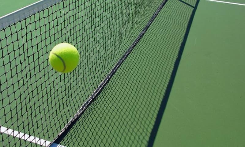 Cá cược tennis: Hướng dẫn chi tiết cho người mới bắt đầu Cwin