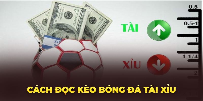 Cách Đọc Kèo Bóng Đá Cực May Mắn Rinh Ngay Thưởng Lớn Cách đọc kèo bóng đá tài xỉu