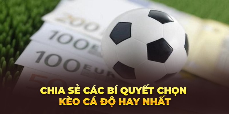 Hé Lộ Bí Quyết Cá Độ Bóng Đá Từ Chuyên Gia Chia sẻ các bí quyết chọn kèo cá độ hay nhất