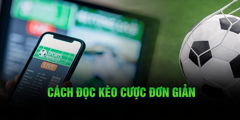 Kinh Nghiệm Đọc Kèo 1/4 Để Thắng Lớn Cách đọc kèo cược đơn giản
