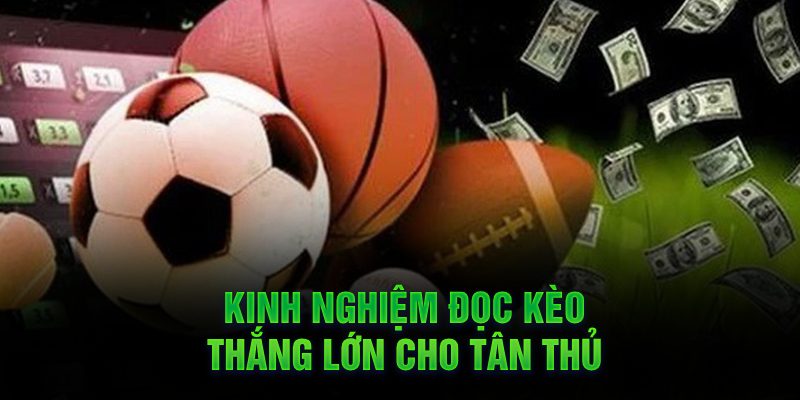 Kinh Nghiệm Đọc Kèo 1/4 Để Thắng Lớn Kinh nghiệm đọc kèo thắng lớn cho tân thủ